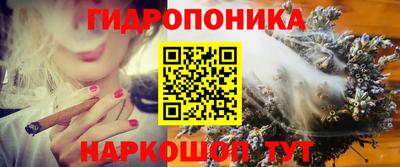 шишки Краснодар