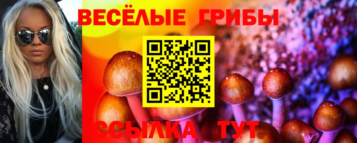 Псилоцибиновые грибы мицелий  где найти   Клин  Псилоцибиновые грибы мицелий  Вход с VPN 
