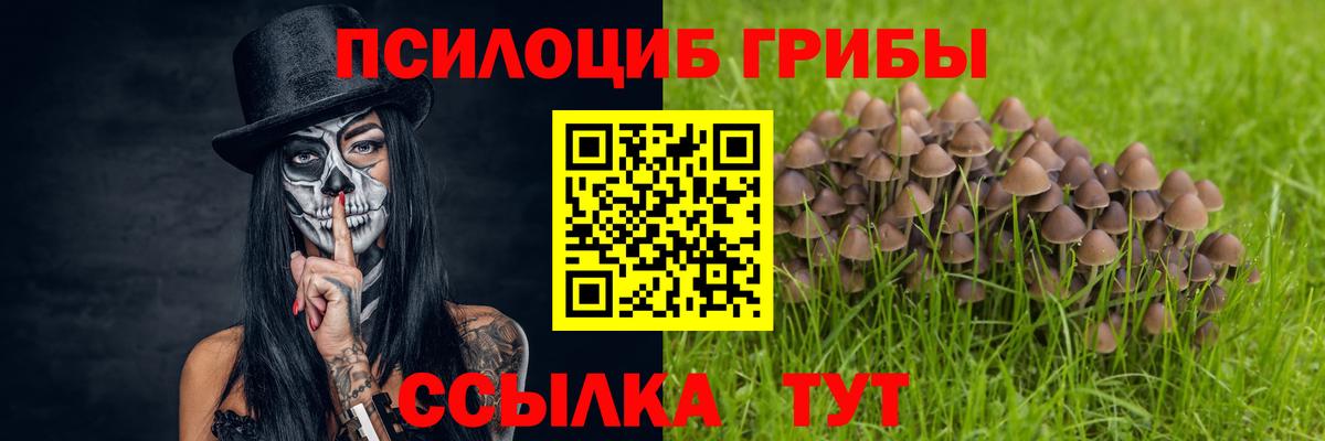 Галлюциногенные грибы Psilocybe Клин